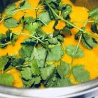 Carrot and Coriander Soup (In A Soup Maker)